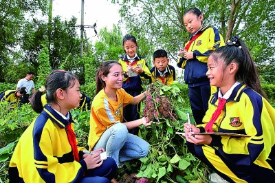 对未来职业不茫然对能工巧匠更向往(图4)